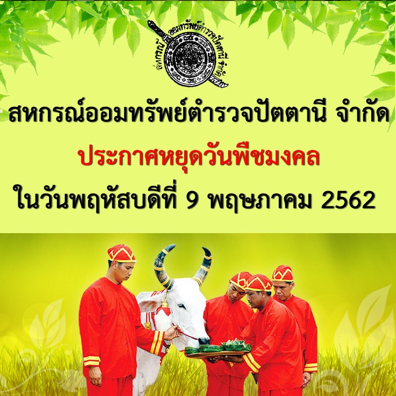 S 26484770